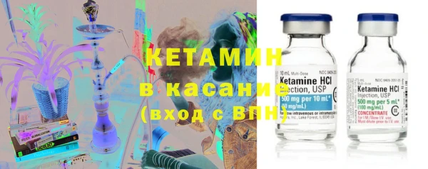 трава Сатка