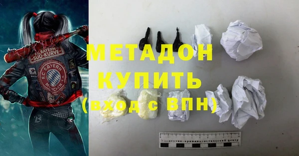 стаф Алзамай