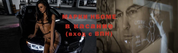 стаф Алзамай