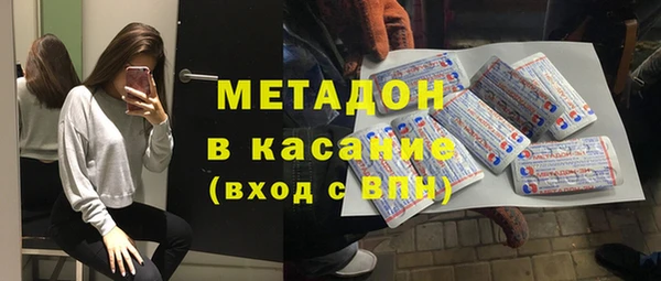стаф Алзамай