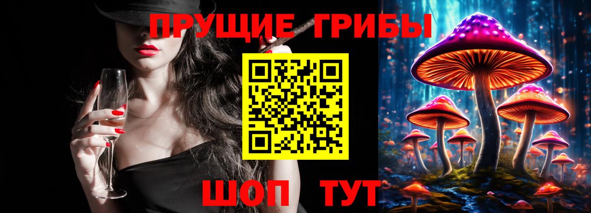 Галлюциногенные грибы MAGIC MUSHROOMS  Вход с VPN  Беслан 